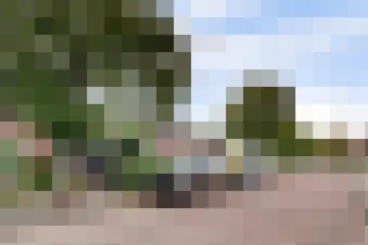 Geestweg 80 Naaldwijk thumbnail 22