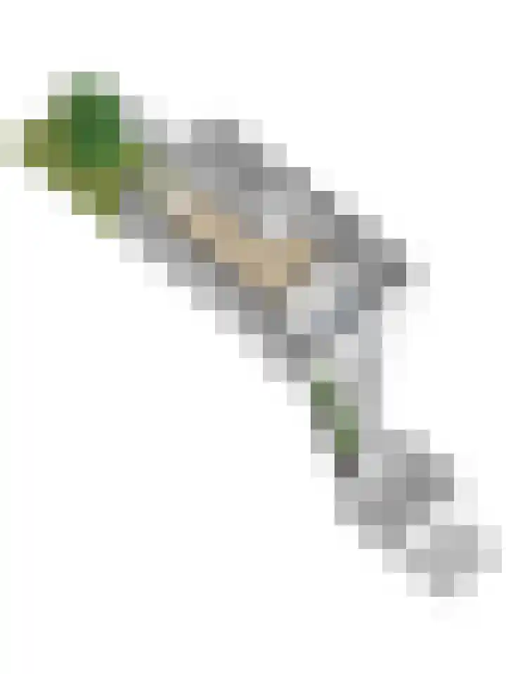 Geestweg 80 Naaldwijk thumbnail 33