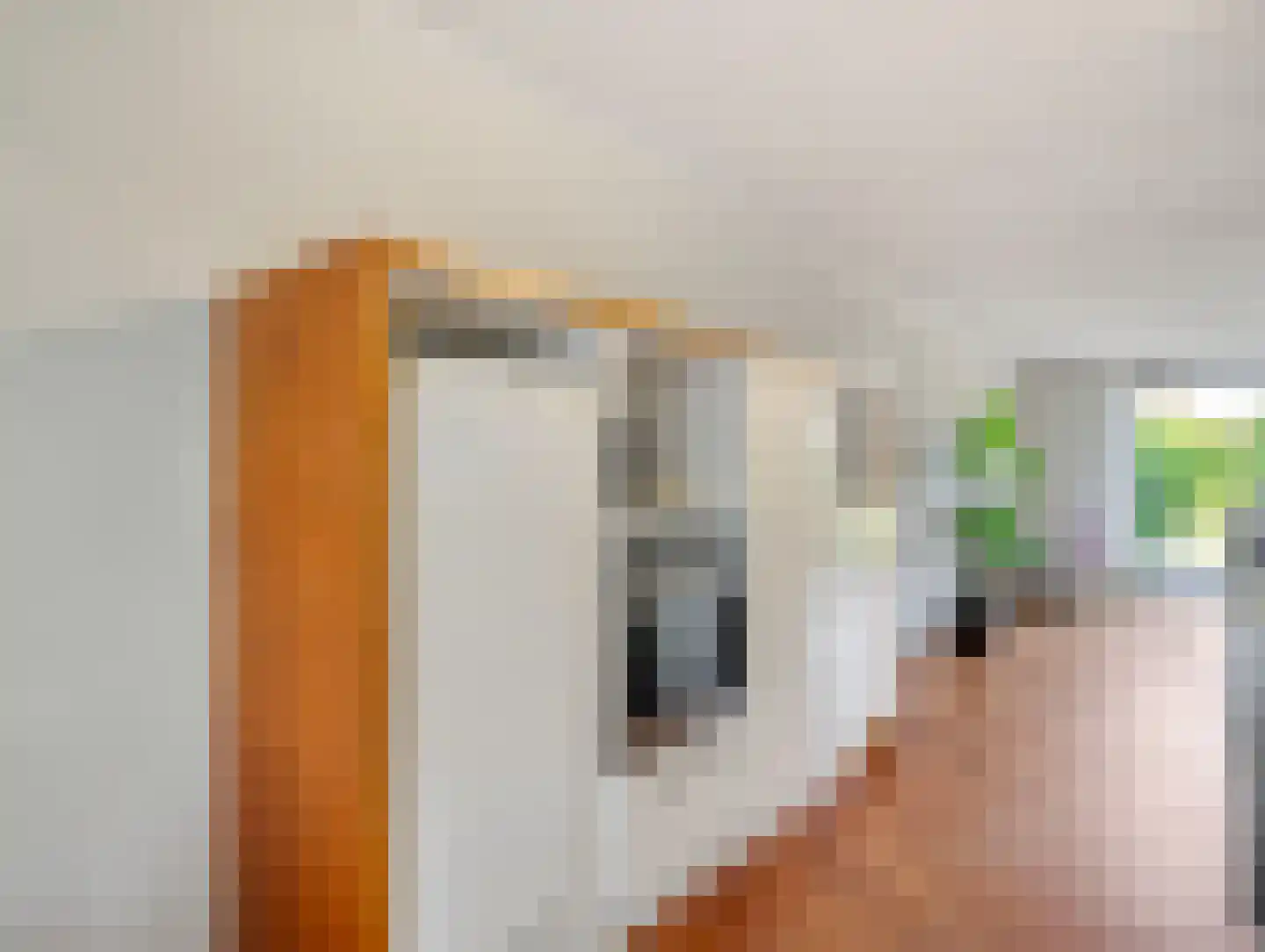 Geeuw 14 De Meern thumbnail 12
