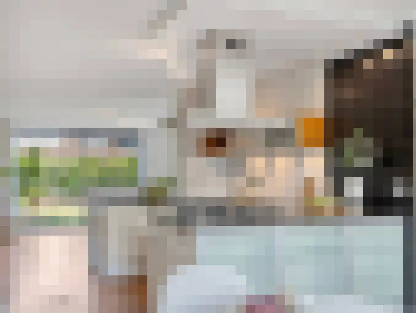 Geeuw 14 De Meern thumbnail 17