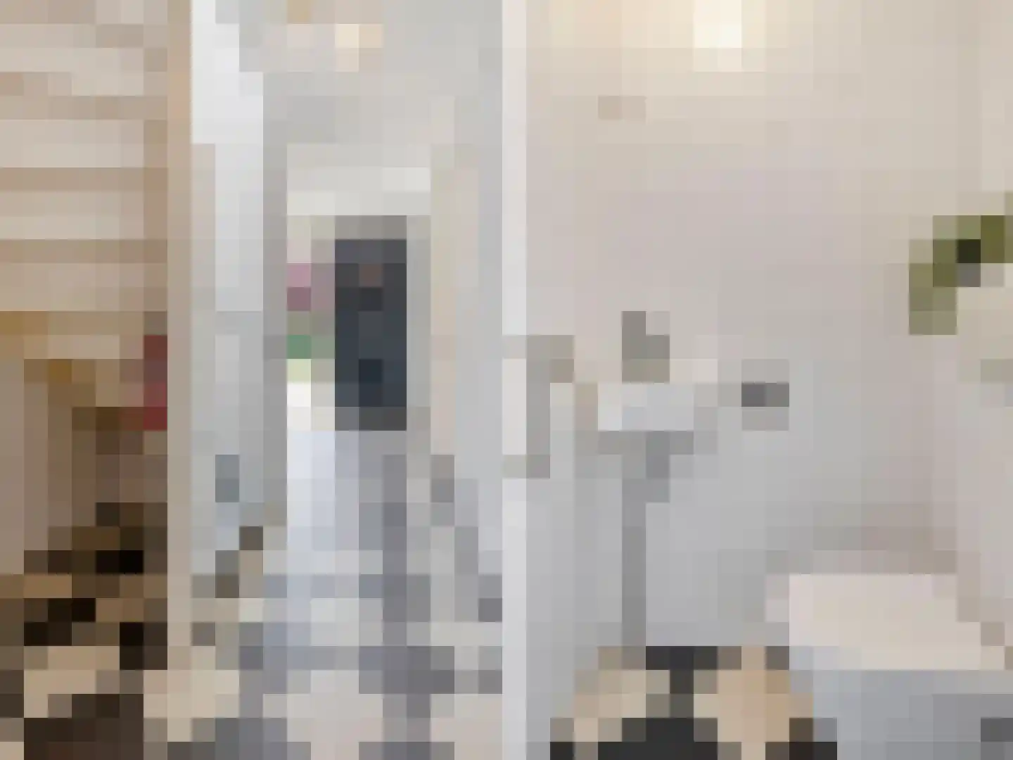 Geeuw 14 De Meern thumbnail 4