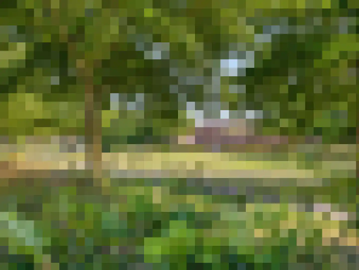 Geeuw 14 De Meern thumbnail 45