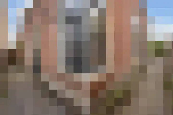 Geeuwkade 15 Sneek thumbnail 23