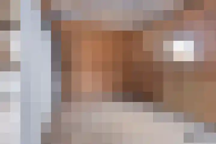 Geeuwkade 15 Sneek thumbnail 39