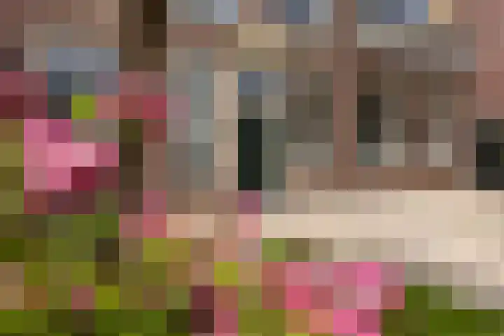 Geeuwkade 15 Sneek thumbnail 51