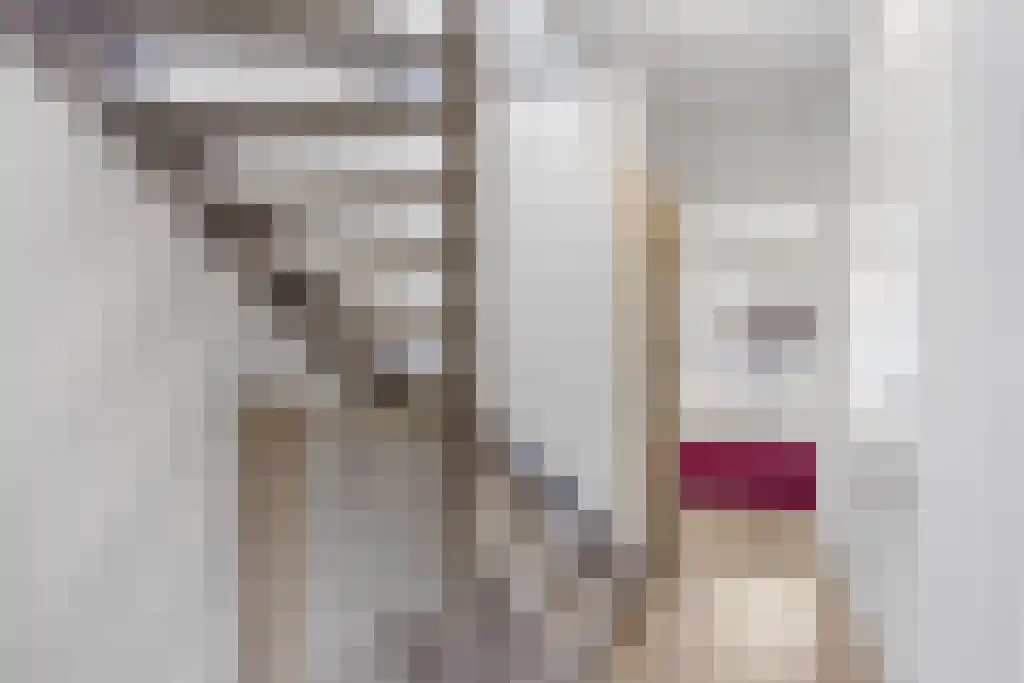 Geeuwkade 48 Sneek thumbnail 14