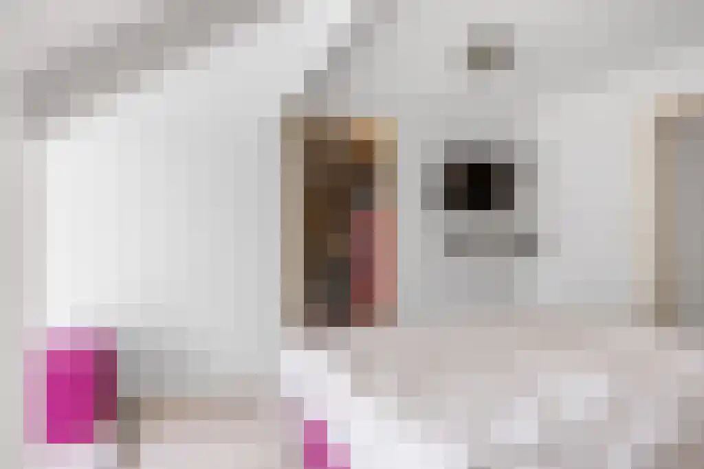 Geeuwkade 48 Sneek thumbnail 18