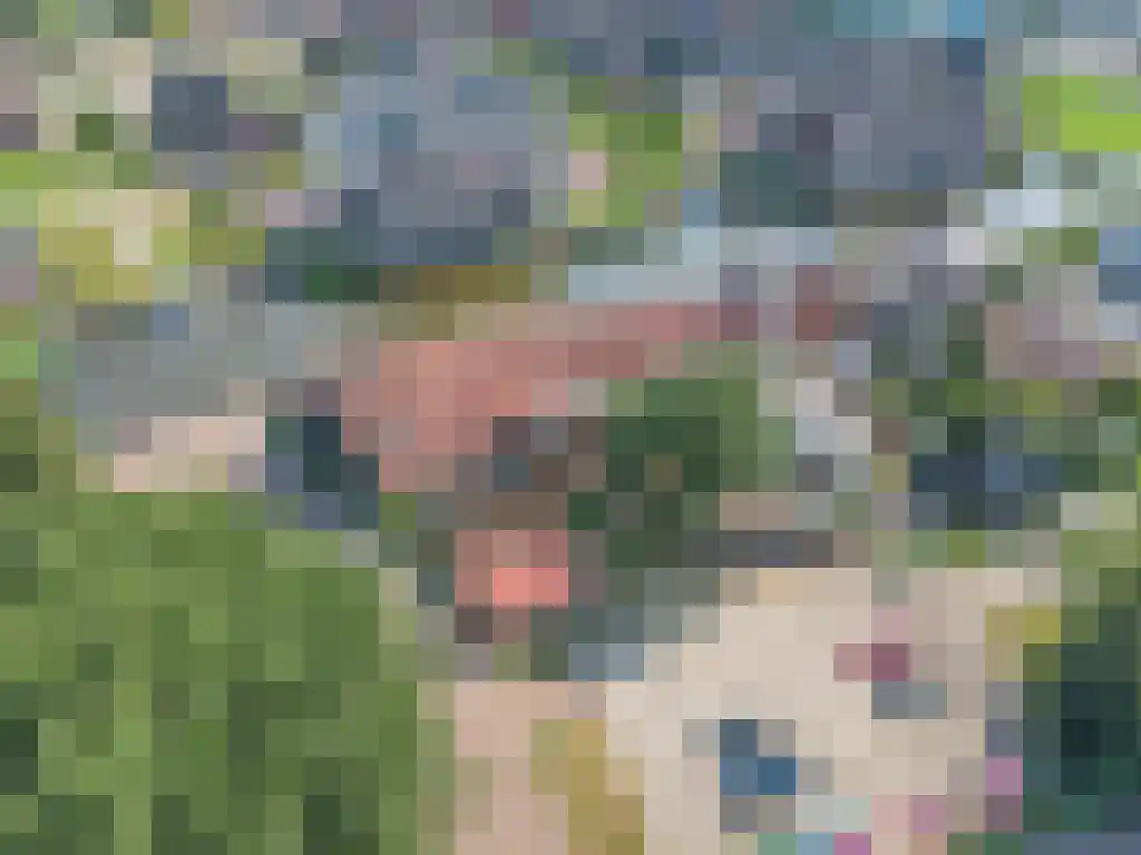 Geeuwkade 48 Sneek thumbnail 34