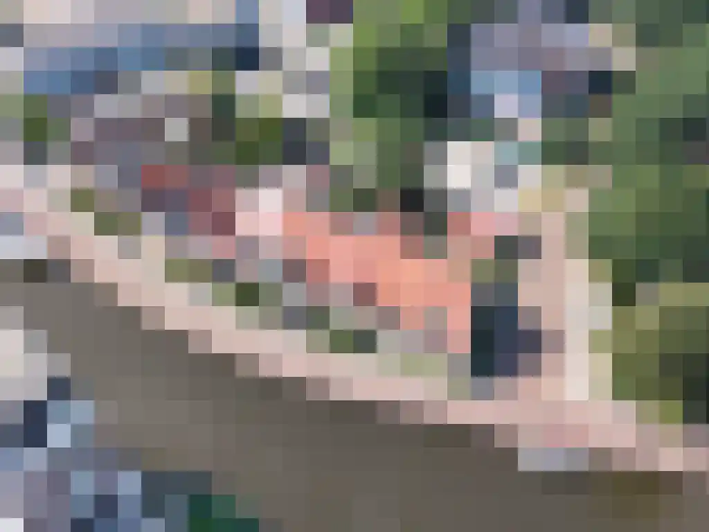 Geeuwkade 48 Sneek thumbnail 40