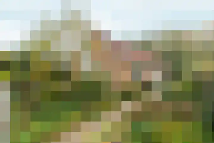 Geffenstraat 19 Arnhem thumbnail 35