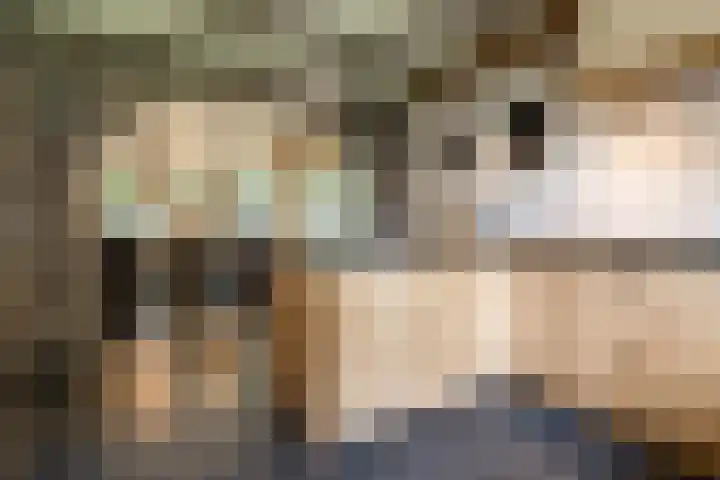 Geheugden 5 Nederweert thumbnail 15