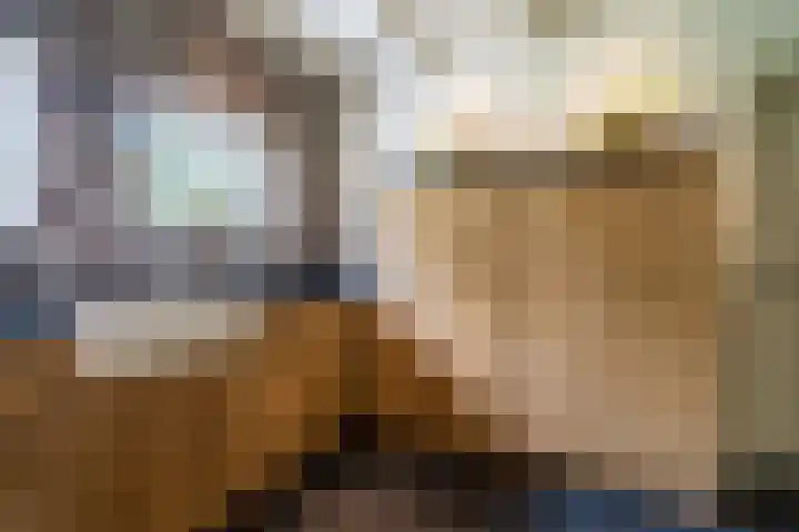 Geheugden 5 Nederweert thumbnail 16