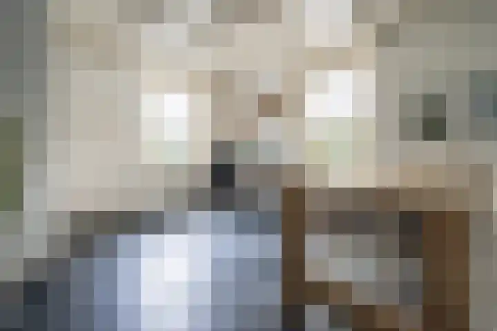 Geheugden 5 Nederweert thumbnail 21