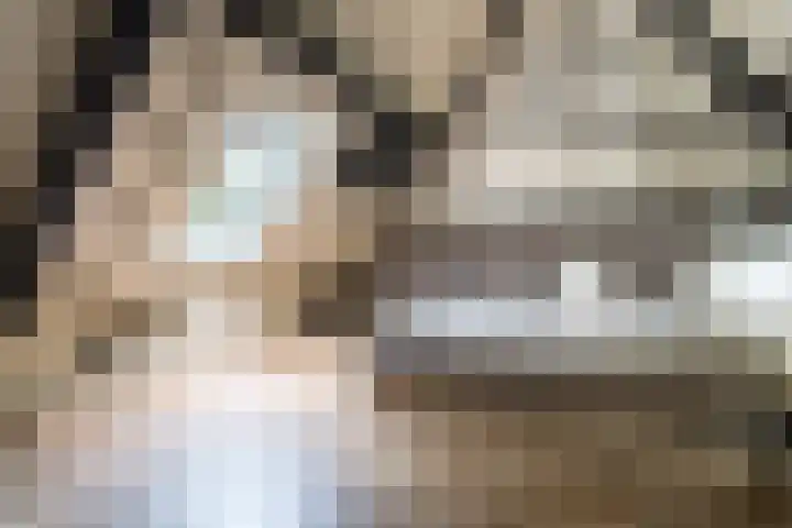 Geheugden 5 Nederweert thumbnail 35