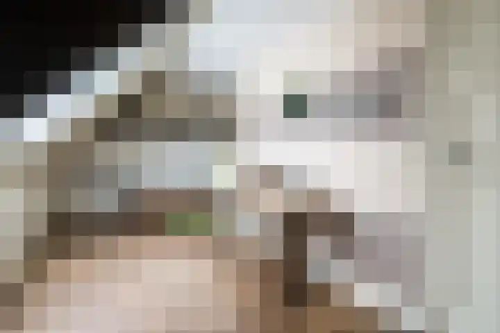 Geheugden 5 Nederweert thumbnail 36