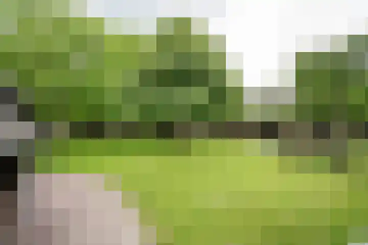 Geheugden 5 Nederweert thumbnail 5