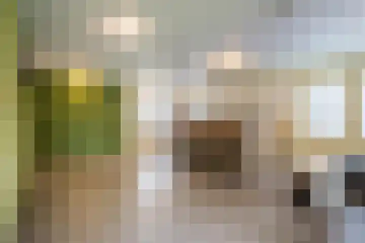 Geheugden 5 Nederweert thumbnail 53