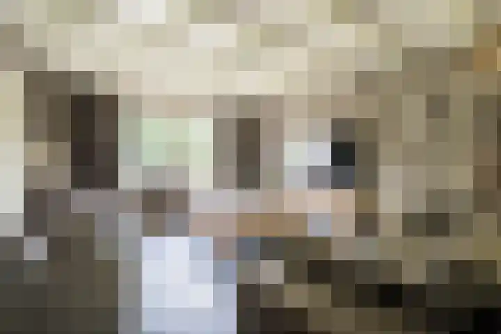Geheugden 5 Nederweert thumbnail 6