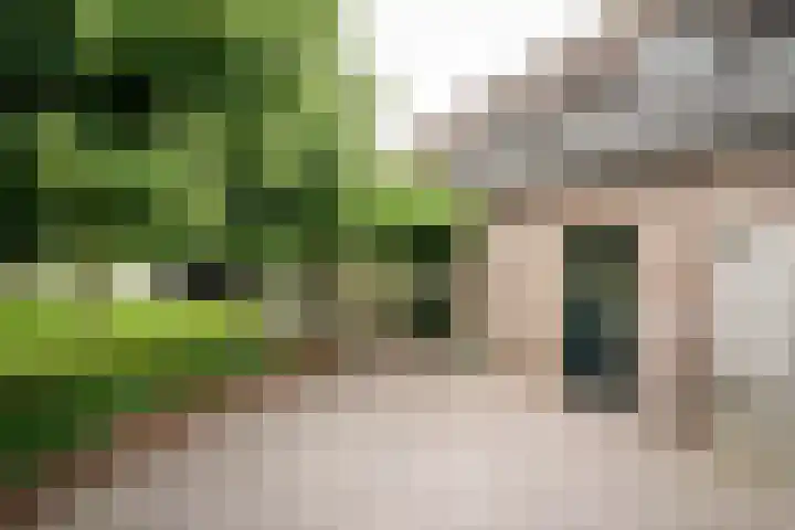 Geheugden 5 Nederweert thumbnail 67