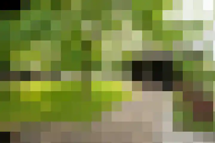 Geheugden 5 Nederweert thumbnail 68
