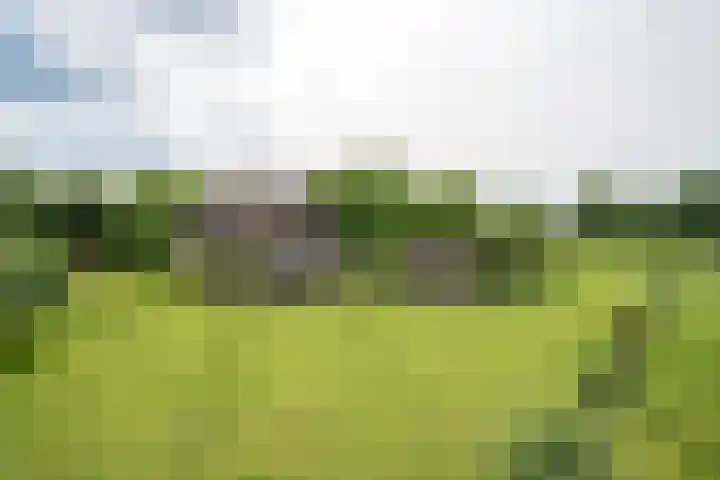 Geheugden 5 Nederweert thumbnail 69