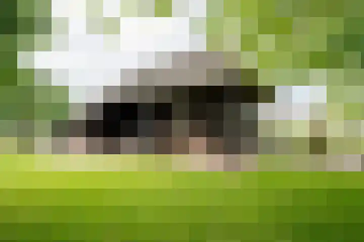 Geheugden 5 Nederweert thumbnail 72