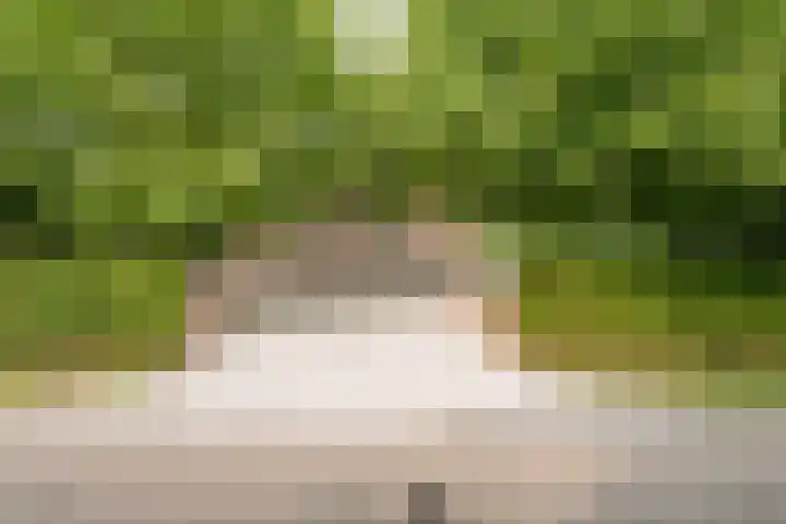 Geheugden 5 Nederweert thumbnail 75
