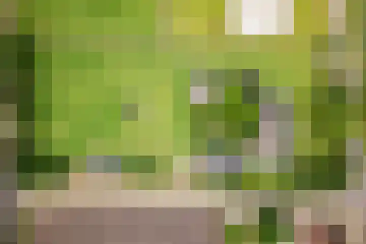 Geheugden 5 Nederweert thumbnail 82