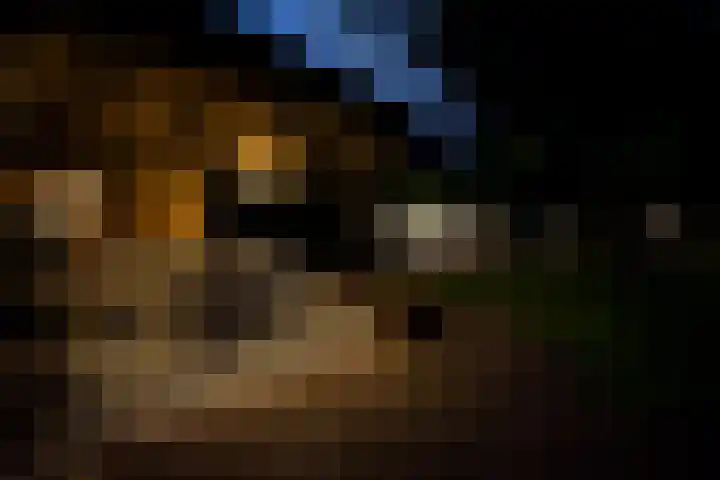 Geheugden 5 Nederweert thumbnail 85