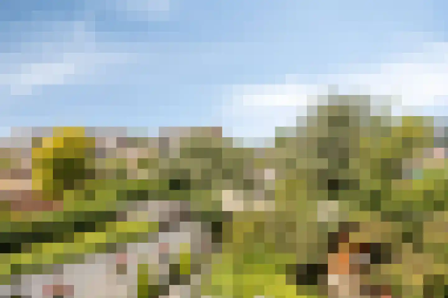 Geijenbreek 38 Landsmeer thumbnail 31