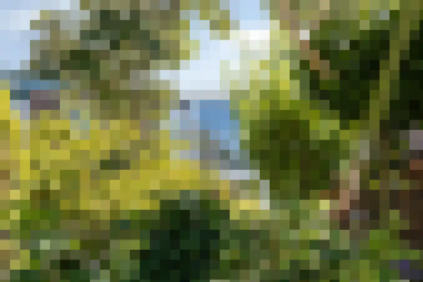 Geijenbreek 38 Landsmeer thumbnail 32