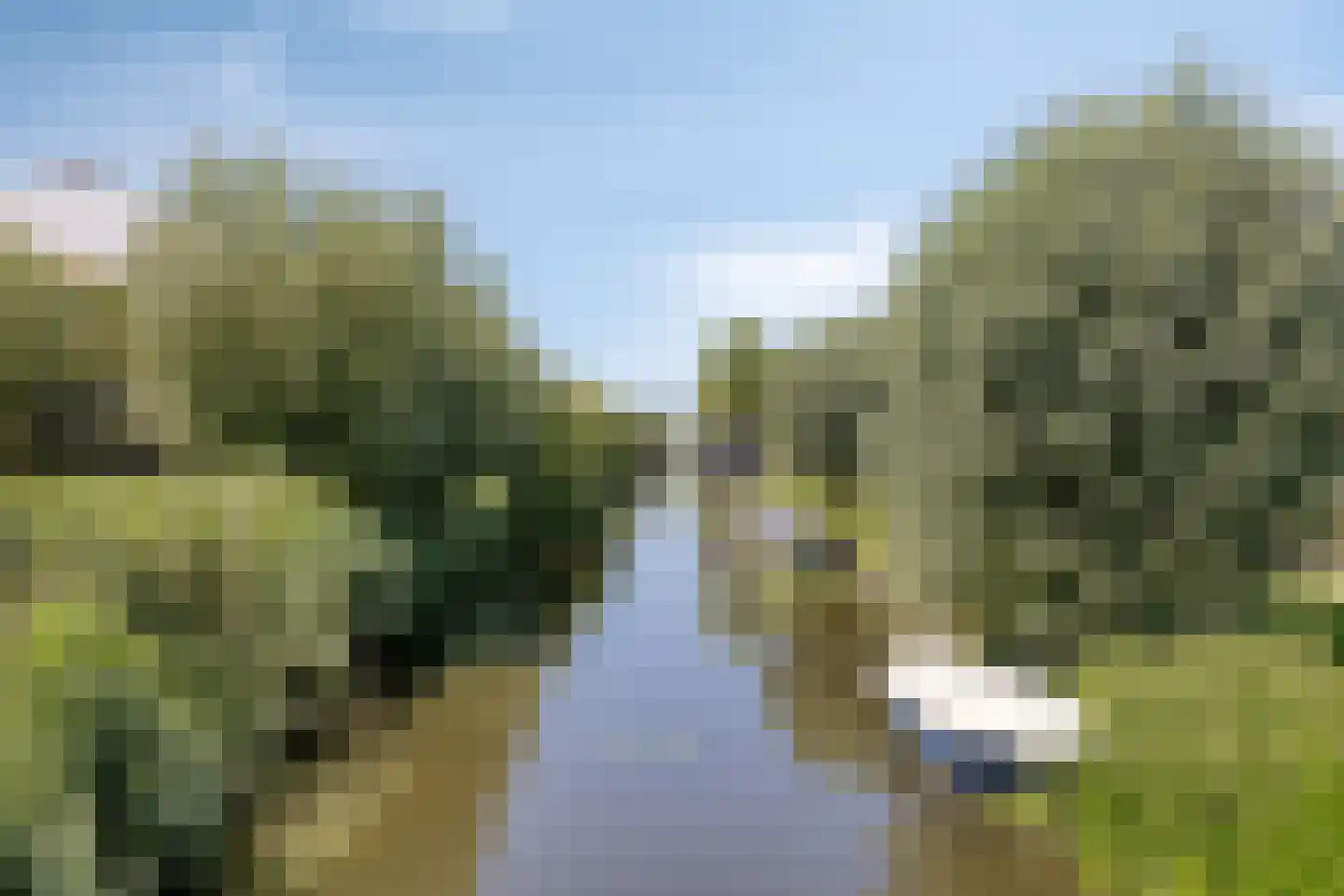 Geijenbreek 38 Landsmeer thumbnail 37