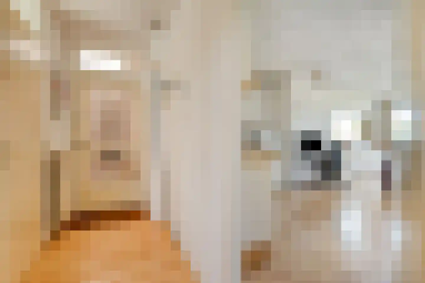 Geijenbreek 38 Landsmeer thumbnail 6