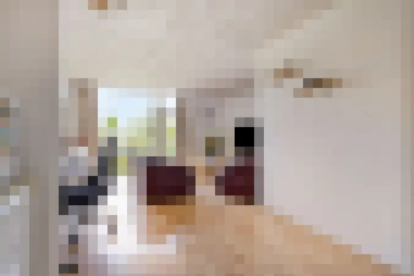 Geijenbreek 38 Landsmeer thumbnail 9
