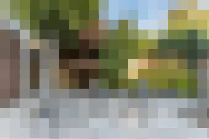 Geijenbreek 46 Landsmeer thumbnail 10
