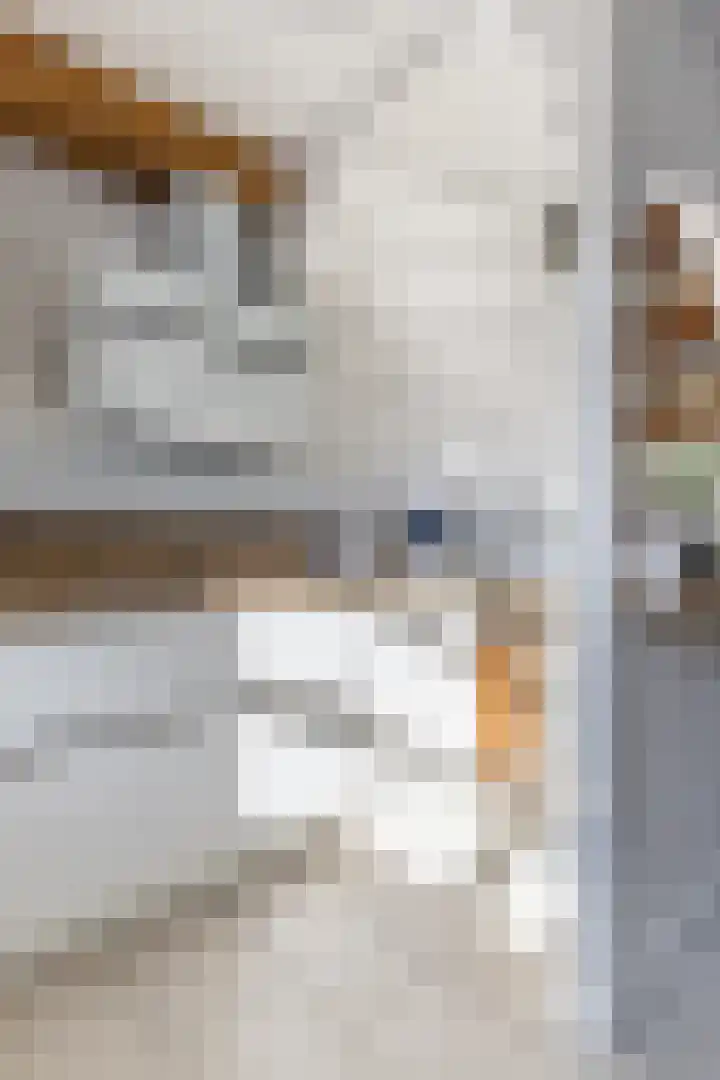 Geijenbreek 46 Landsmeer thumbnail 14