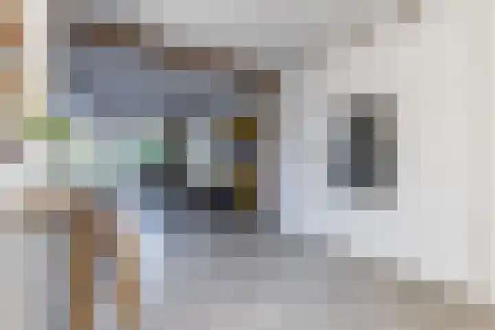 Geijenbreek 46 Landsmeer thumbnail 15