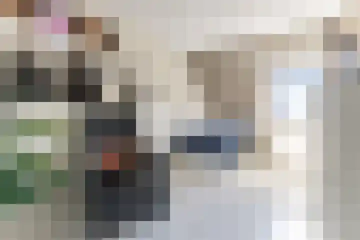 Geijenbreek 46 Landsmeer thumbnail 20