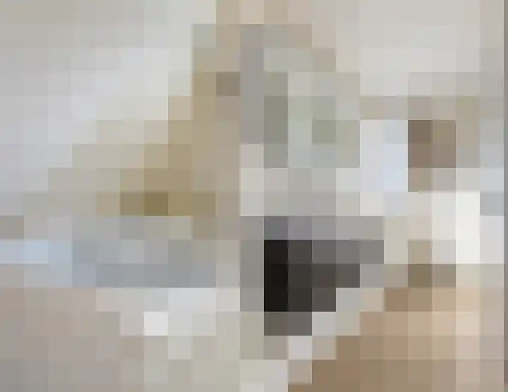 Geijenbreek 46 Landsmeer thumbnail 30
