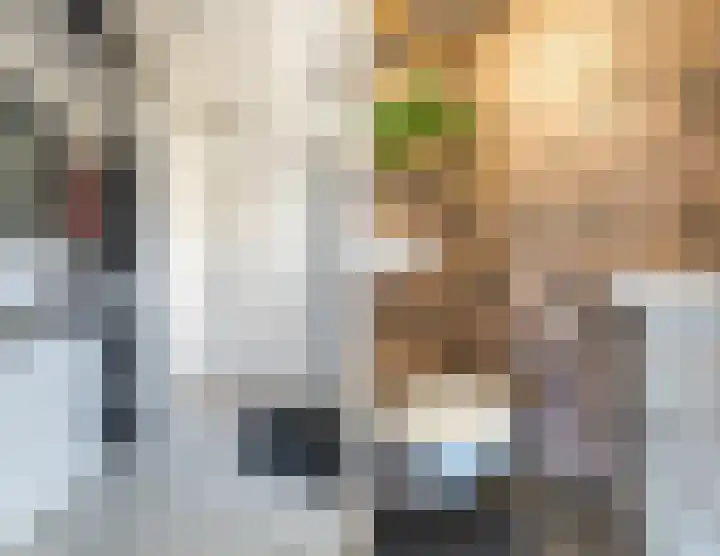 Geijenbreek 46 Landsmeer thumbnail 4