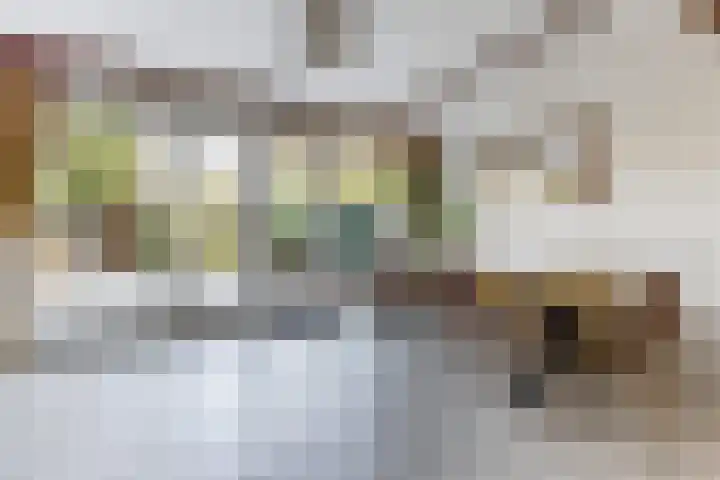 Geijenbreek 46 Landsmeer thumbnail 7