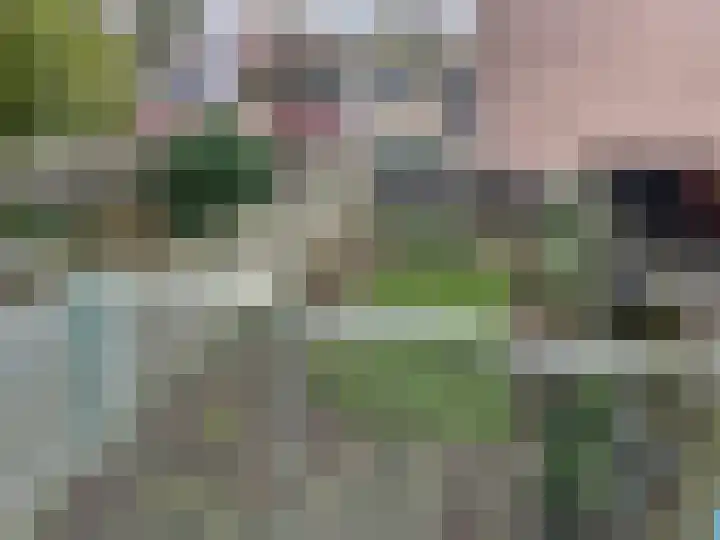 Gein 19 Zwolle thumbnail 10