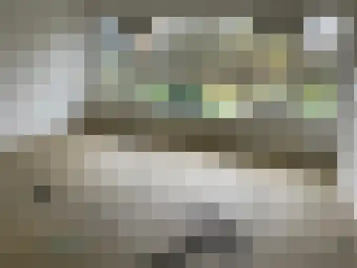 Gein 19 Zwolle thumbnail 11