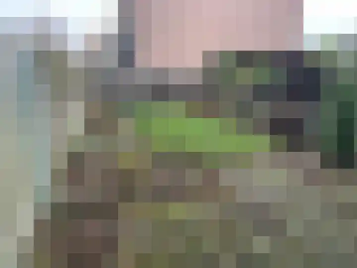 Gein 19 Zwolle thumbnail 6