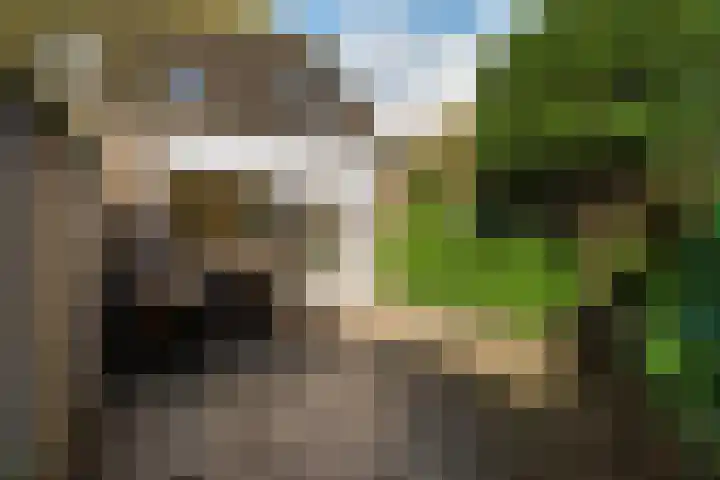Gein 36 Rotterdam thumbnail 25