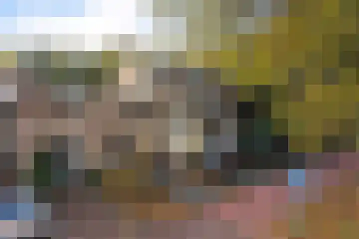 Gein 36 Rotterdam thumbnail 8