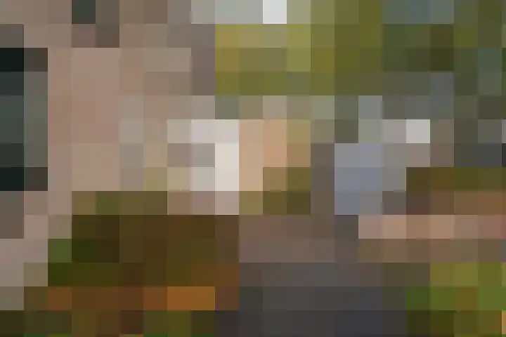 Gein 36 Rotterdam thumbnail 9