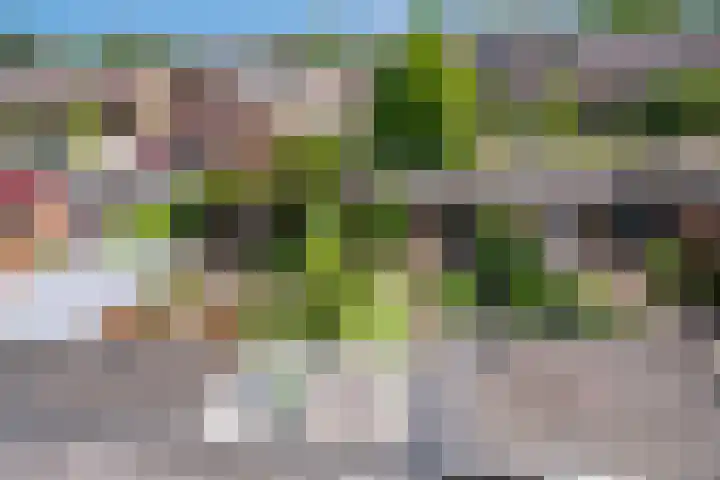 Gein 5 Apeldoorn thumbnail 17