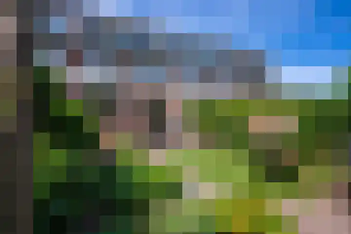 Gein 5 Apeldoorn thumbnail 20