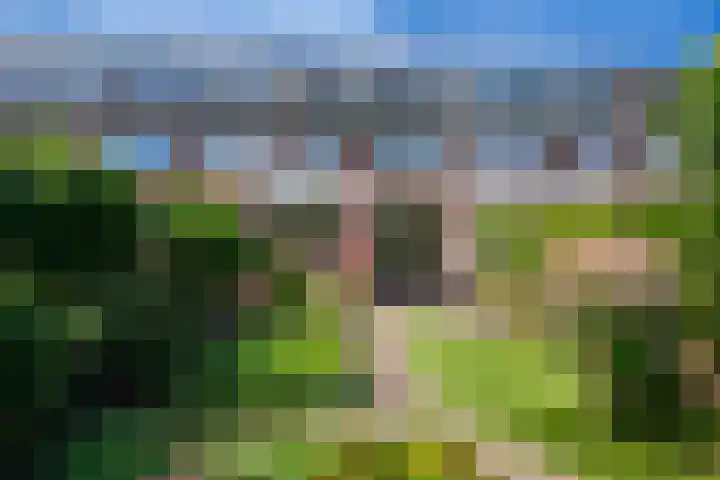 Gein 5 Apeldoorn thumbnail 21